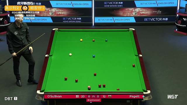 将极大促进 将极大促进