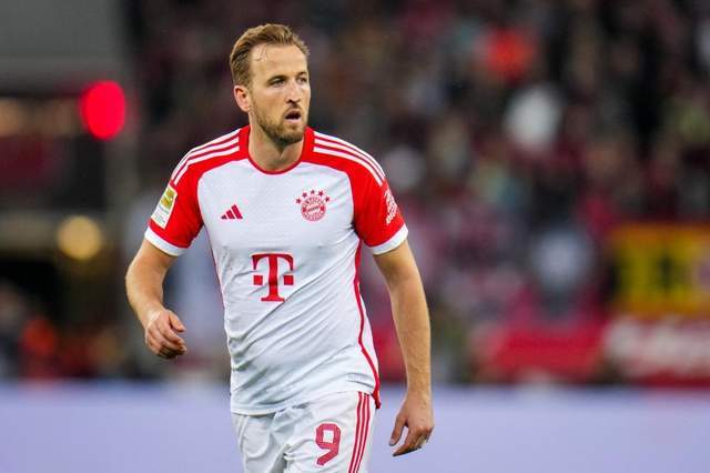 如林的欧洲 如林的欧洲